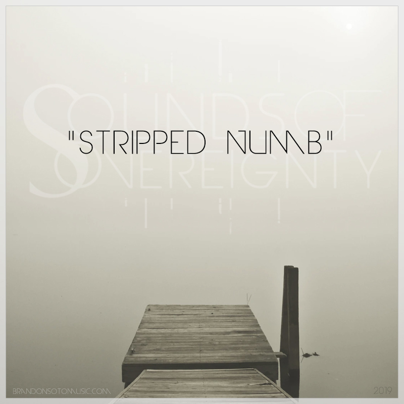 Brandon Soto's Sounds of Sovereignty Release - Stripped Numb (Vocal Version)
